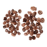Maxbell 60 Pieces Mixed Natural Pine Cones Dried Table Ornament Home Decoration DIY