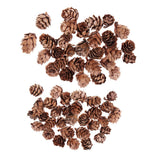 Maxbell 60 Pieces Mixed Natural Pine Cones Dried Table Ornament Home Decoration DIY