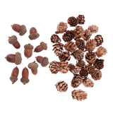 Maxbell 40 Pieces Natural Pine Cones Acorns Dried Table Ornament for Home Decoration