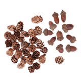 Maxbell 40 Pieces Natural Pine Cones Acorns Dried Table Ornament for Home Decoration