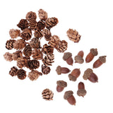 Maxbell 40 Pieces Natural Pine Cones Acorns Dried Table Ornament for Home Decoration