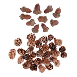 Maxbell 40 Pieces Natural Pine Cones Acorns Dried Table Ornament for Home Decoration