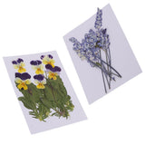 Maxbell 16 Pieces Assorted Natural Pressed Dried Flowers DIY Scrapbooking Art Crafts
