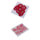 Maxbell 22 Pieces Natural Delphinium Rose Real Pressed Dried Flowers for DIY Craft