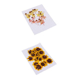 Maxbell 40 Pieces Real Pressed Dried Flowers DIY Art Crafts Scrapbooking Card Making
