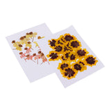 Maxbell 40 Pieces Real Pressed Dried Flowers DIY Art Crafts Scrapbooking Card Making
