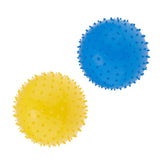 2 Pieces 9 Inch Kids Knobby Bouncy Ball Yoga Massage Spiky Sensory Ball 01