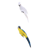 2Pcs Realistic Macaw Parrot Artificial Feather Bird Animal Ornament Kids Toy