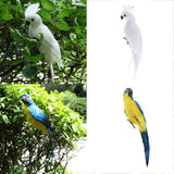2Pcs Realistic Macaw Parrot Artificial Feather Bird Animal Ornament Kids Toy