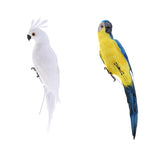 2Pcs Realistic Macaw Parrot Artificial Feather Bird Animal Ornament Kids Toy