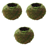 3pcs Creative Moss Ball Flower Pot Planter Bonsai Plant Holder Garden Decor
