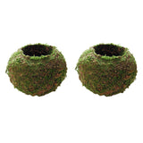3pcs Creative Moss Ball Flower Pot Planter Bonsai Plant Holder Garden Decor