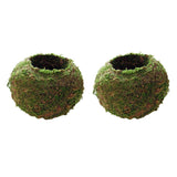 3pcs Creative Moss Ball Flower Pot Planter Bonsai Plant Holder Garden Decor
