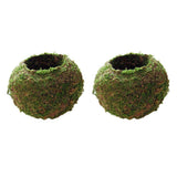 3pcs Creative Moss Ball Flower Pot Planter Bonsai Plant Holder Garden Decor