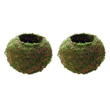 3pcs Creative Moss Ball Flower Pot Planter Bonsai Plant Holder Garden Decor