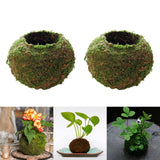 3pcs Creative Moss Ball Flower Pot Planter Bonsai Plant Holder Garden Decor