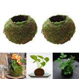 3pcs Creative Moss Ball Flower Pot Planter Bonsai Plant Holder Garden Decor