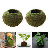 3pcs Creative Moss Ball Flower Pot Planter Bonsai Plant Holder Garden Decor