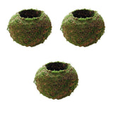 3pcs Creative Moss Ball Flower Pot Planter Bonsai Plant Holder Garden Decor