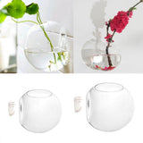 Maxbell 2PCS Wall Hanging Planter Glass Hydroponic Vase Plant Pot Terrarium Ball