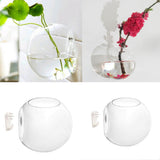 Maxbell 2PCS Wall Hanging Planter Glass Hydroponic Vase Plant Pot Terrarium Ball