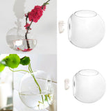 Maxbell 2PCS Wall Hanging Planter Glass Hydroponic Vase Plant Pot Terrarium Ball