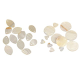 Maxbell 24 Pieces Natural Shell Charm Beads Jewelry Findings Accessories
