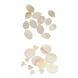 Maxbell 24 Pieces Natural Shell Charm Beads Jewelry Findings Accessories