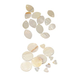 Maxbell 24 Pieces Natural Shell Charm Beads Jewelry Findings Accessories
