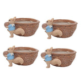 Maxbell 4pcs Cute Lovely Resin Walnut Shape Succulent Plant Pot for Home Decor