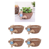 Maxbell 4pcs Cute Lovely Resin Walnut Shape Succulent Plant Pot for Home Decor