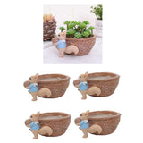 Maxbell 4pcs Cute Lovely Resin Walnut Shape Succulent Plant Pot for Home Decor