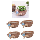 Maxbell 4pcs Cute Lovely Resin Walnut Shape Succulent Plant Pot for Home Decor