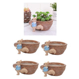 Maxbell 4pcs Cute Lovely Resin Walnut Shape Succulent Plant Pot for Home Decor