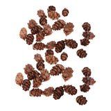 Maxbell 100 Pieces Small Real Natural Pine Cones for Christmas Ornaments Decoration