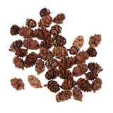 Maxbell 100 Pieces Small Real Natural Pine Cones for Christmas Ornaments Decoration