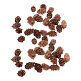 Maxbell 100 Pieces Small Real Natural Pine Cones for Christmas Ornaments Decoration