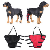 Maxbell 2 Pcs Pet Dog Auxiliary Belt Dog Protective Joints Protector For Dog Puppy