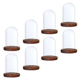 Maxbell 8 pcs Glass Dome Cloche with Wood Base Flower Landscape Holder Glass Cover