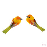 Maxbell 20 Pcs Artificial Realistic Decor Fake Bird Simulation Home Ornament Birds