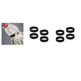 Maxbell 8x Chicken Collar Anti Crow Rooster Collar Poultry Chicken Supplies Black
