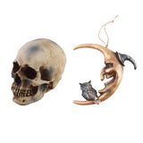 Maxbell Hanging Resin Terror Moon Skull and1:1 Replica Human Skull
