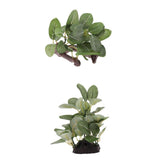 Maxbell 2pcs Resin Artifical Water Grass Plant For Reptile or Aquarium Tank Green
