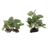 Maxbell 2pcs Resin Artifical Water Grass Plant For Reptile or Aquarium Tank Green