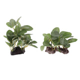Maxbell 2pcs Resin Artifical Water Grass Plant For Reptile or Aquarium Tank Green