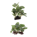 Maxbell 2pcs Resin Artifical Water Grass Plant For Reptile or Aquarium Tank Green