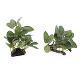 Maxbell 2pcs Resin Artifical Water Grass Plant For Reptile or Aquarium Tank Green