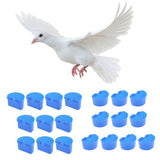 Maxbell 20 Pcs Pigeons Sand Cups Bird Food Water Container Plastic Bowl for Cage