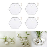 Maxbell 4x Wall Mount Planter Glass Hydroponic Vase Plant Pot Terrarium Hexagon 13cm