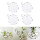 Maxbell 4x Wall Mount Planter Glass Hydroponic Vase Plant Pot Terrarium Hexagon 13cm